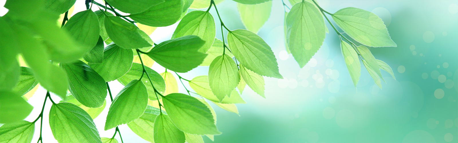 お悩みの会計をワンストップサポート 光川税理士事務所